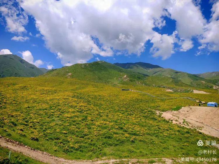 积石山黄草坪风景如画